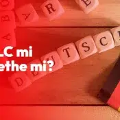 TELC mi Goethe mi? Ankara'da Doğru Almanca Sertifikasını Seçmek
